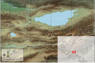 The resilience of pioneer crops in the highlands of Central Asia: Archaeobotanical investigation at the Chap II site in Kyrgyzstan